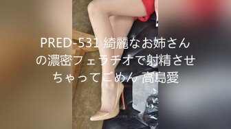 PRED-531 綺麗なお姉さんの濃密フェラチオで射精させちゃってごめん 高島愛