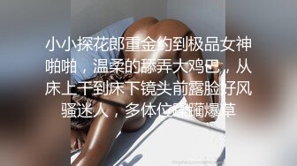 小小探花郎重金约到极品女神啪啪，温柔的舔弄大鸡巴，从床上干到床下镜头前露脸好风骚迷人，多体位蹂躏爆草