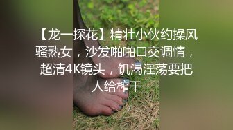 【龙一探花】精壮小伙约操风骚熟女，沙发啪啪口交调情，超清4K镜头，饥渴淫荡要把人给榨干