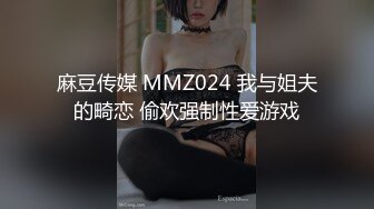 麻豆传媒 MMZ024 我与姐夫的畸恋 偷欢强制性爱游戏