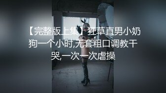 【完整版上集】狂草直男小奶狗一个小时,无套粗口调教干哭,一次一次虐操